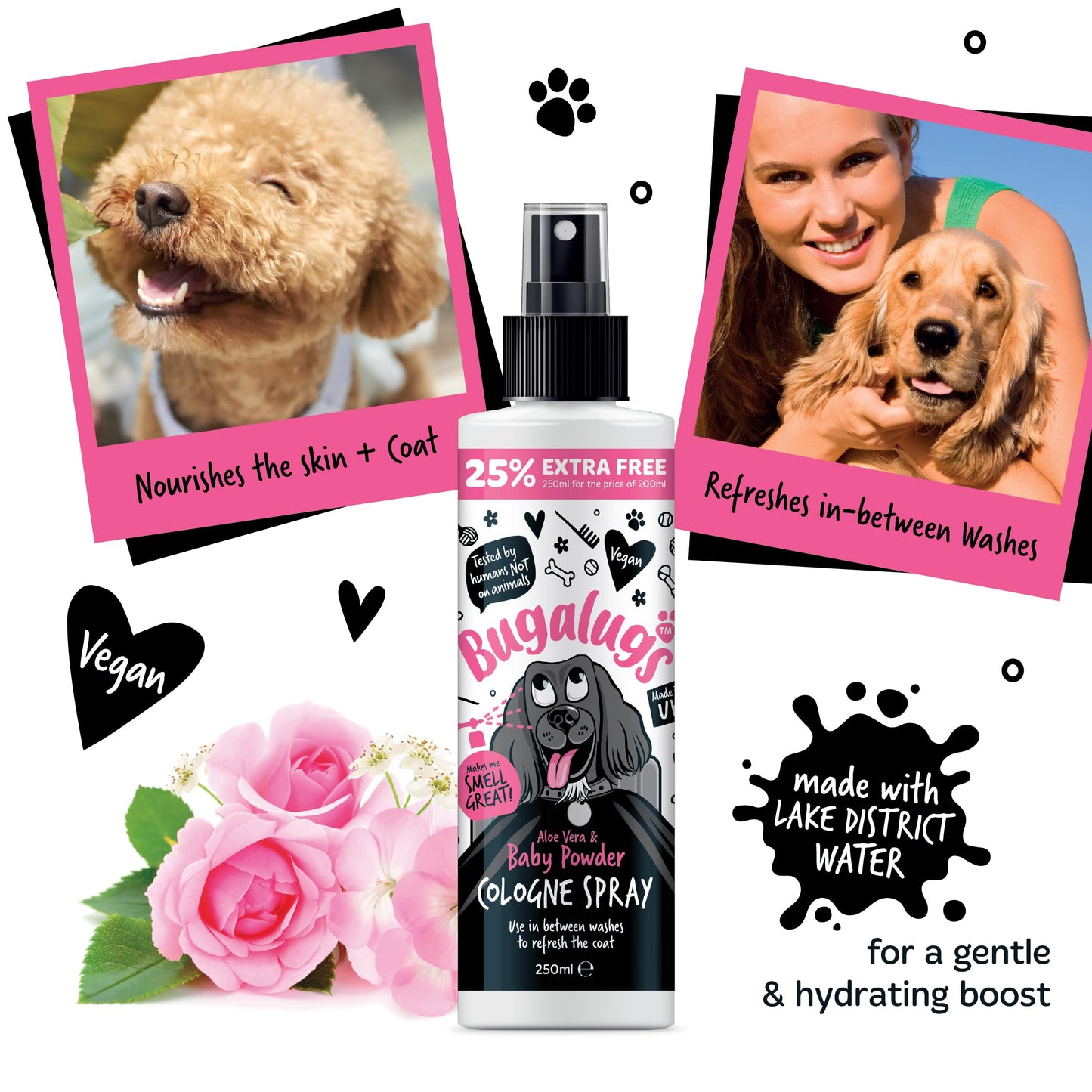 Bugalugs Dog Perfume Spray with Aloe Vera & Baby Powder Cologne great Pet Odour Eliminator Deodorant Spray for Smelly Dogs can use as Dry Shampoo
